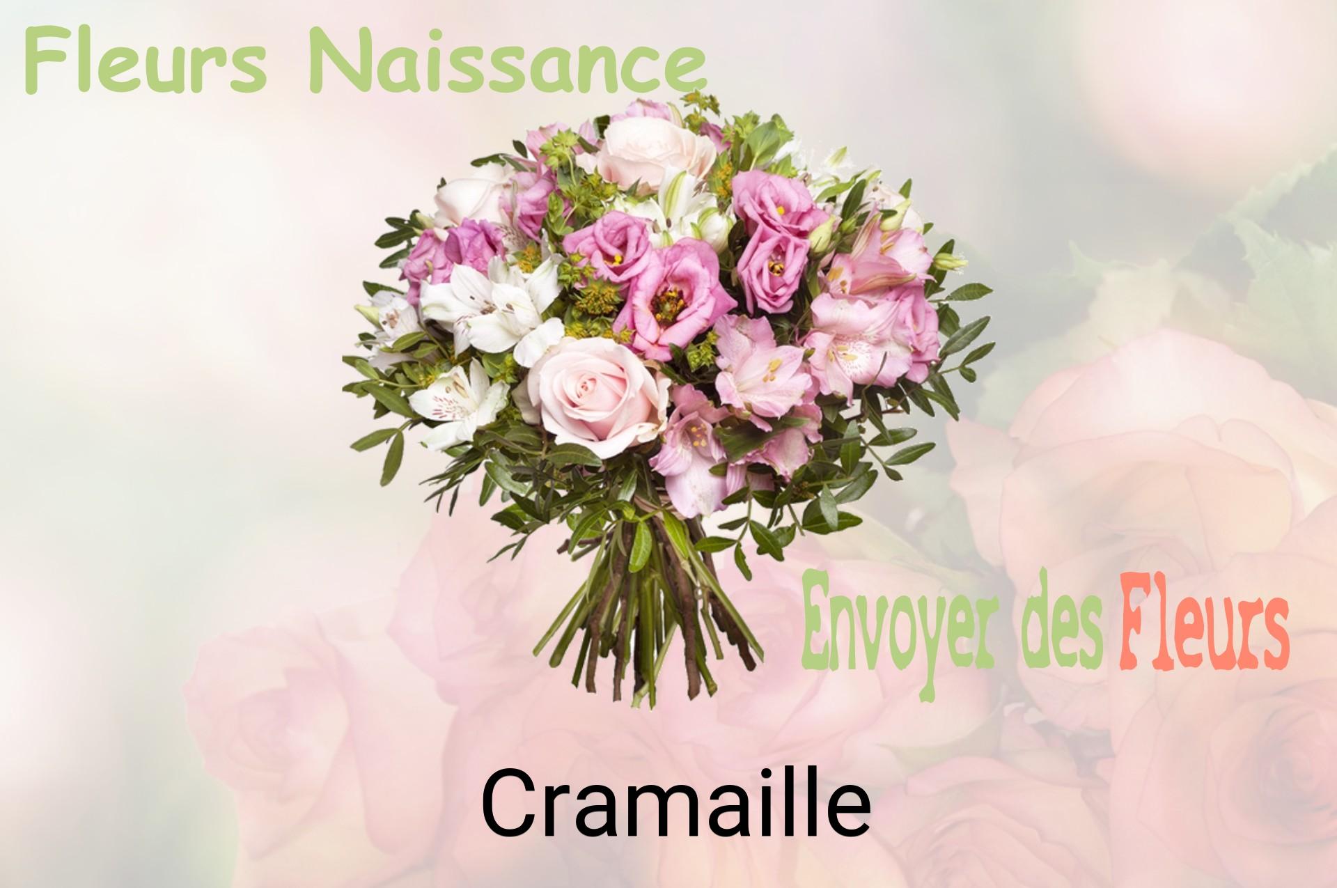Bouquet de fleurs de naissance livré à Cramaille